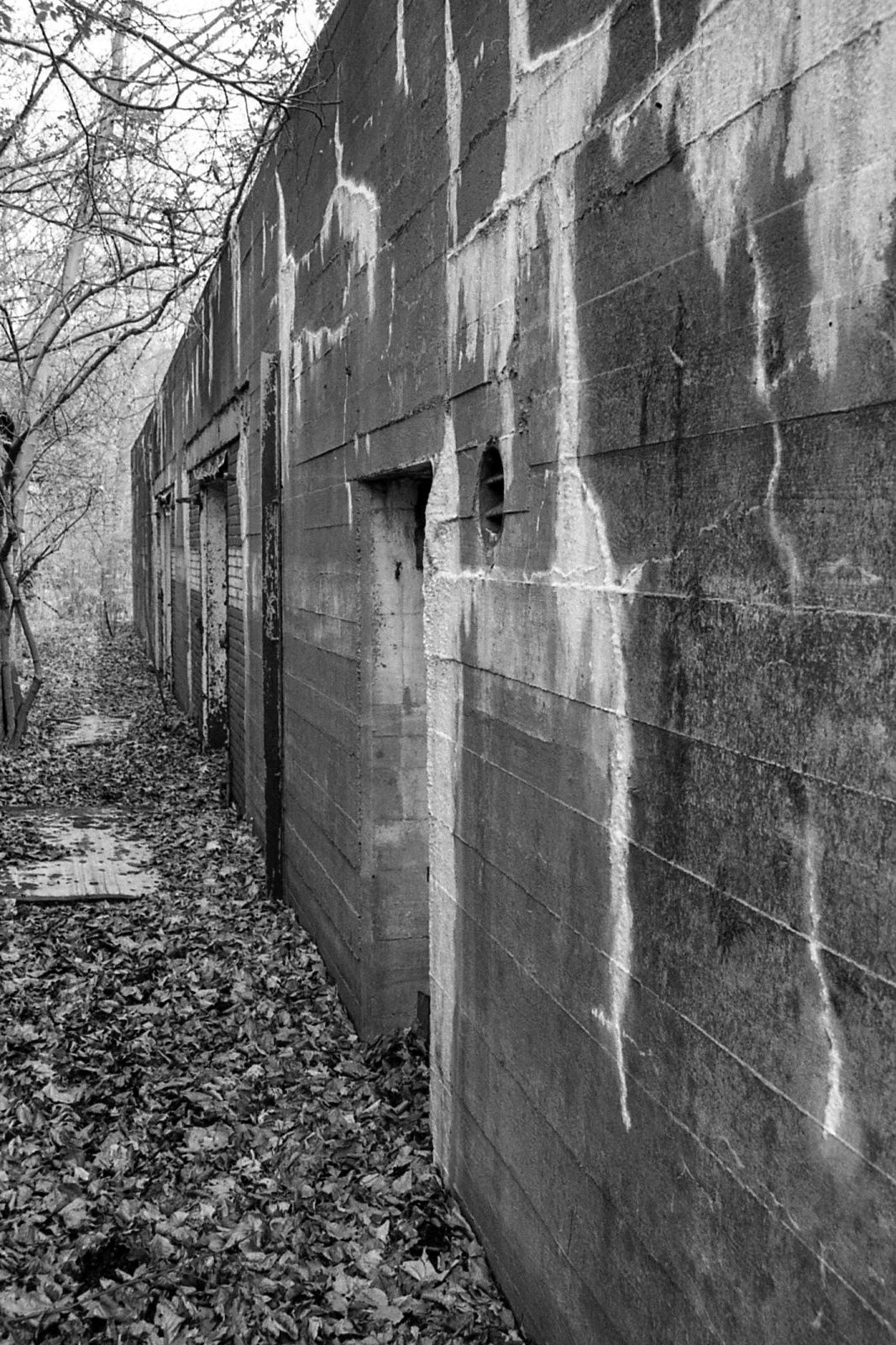 #2000 #staelduinse bos