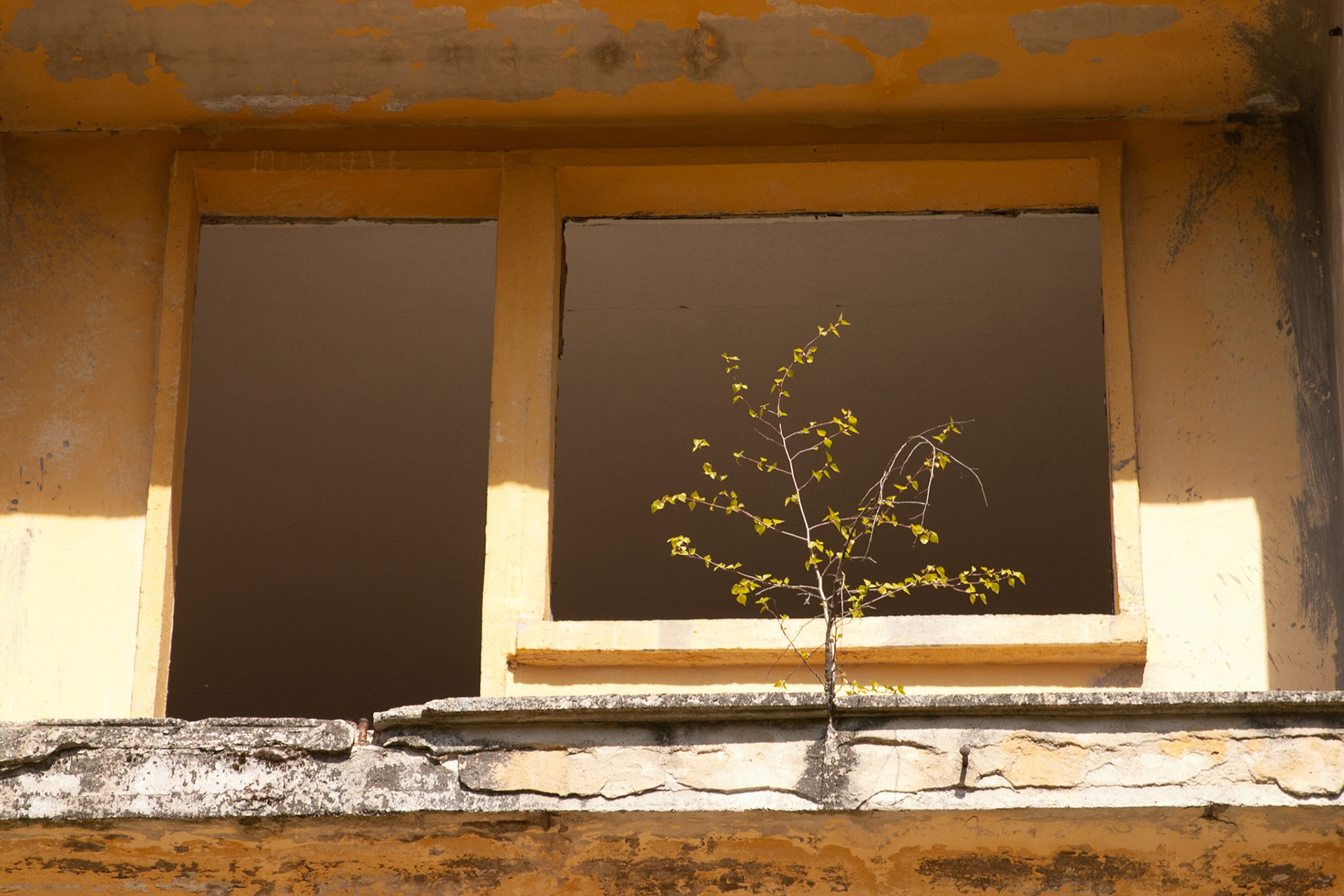 #2015 #olympisch dorp #berlijn