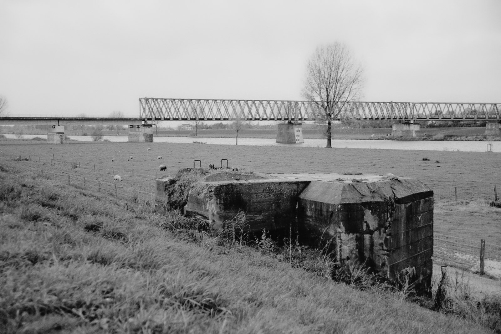 #1999 #katwijk / cuijck