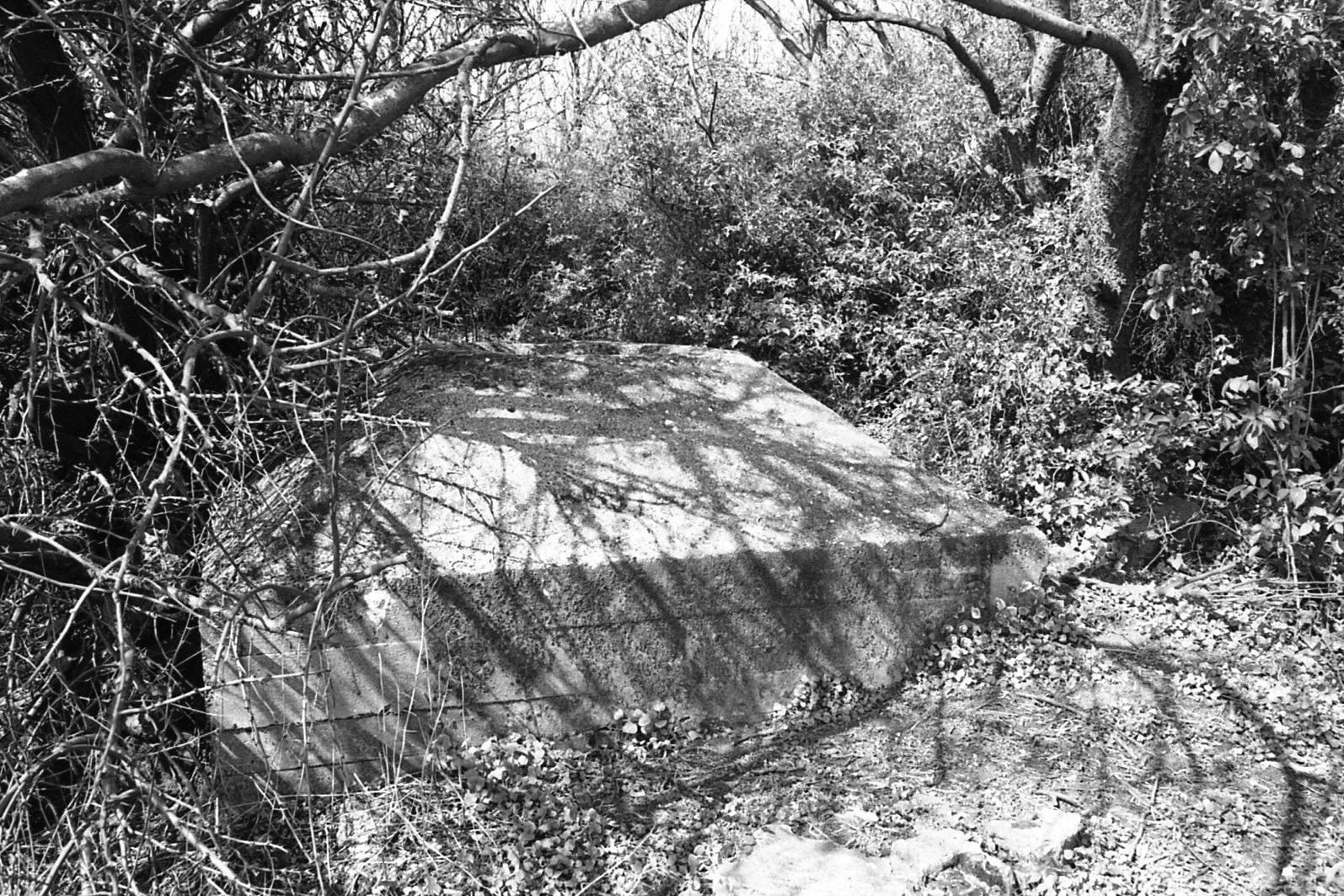 #2000 #hoek van holland