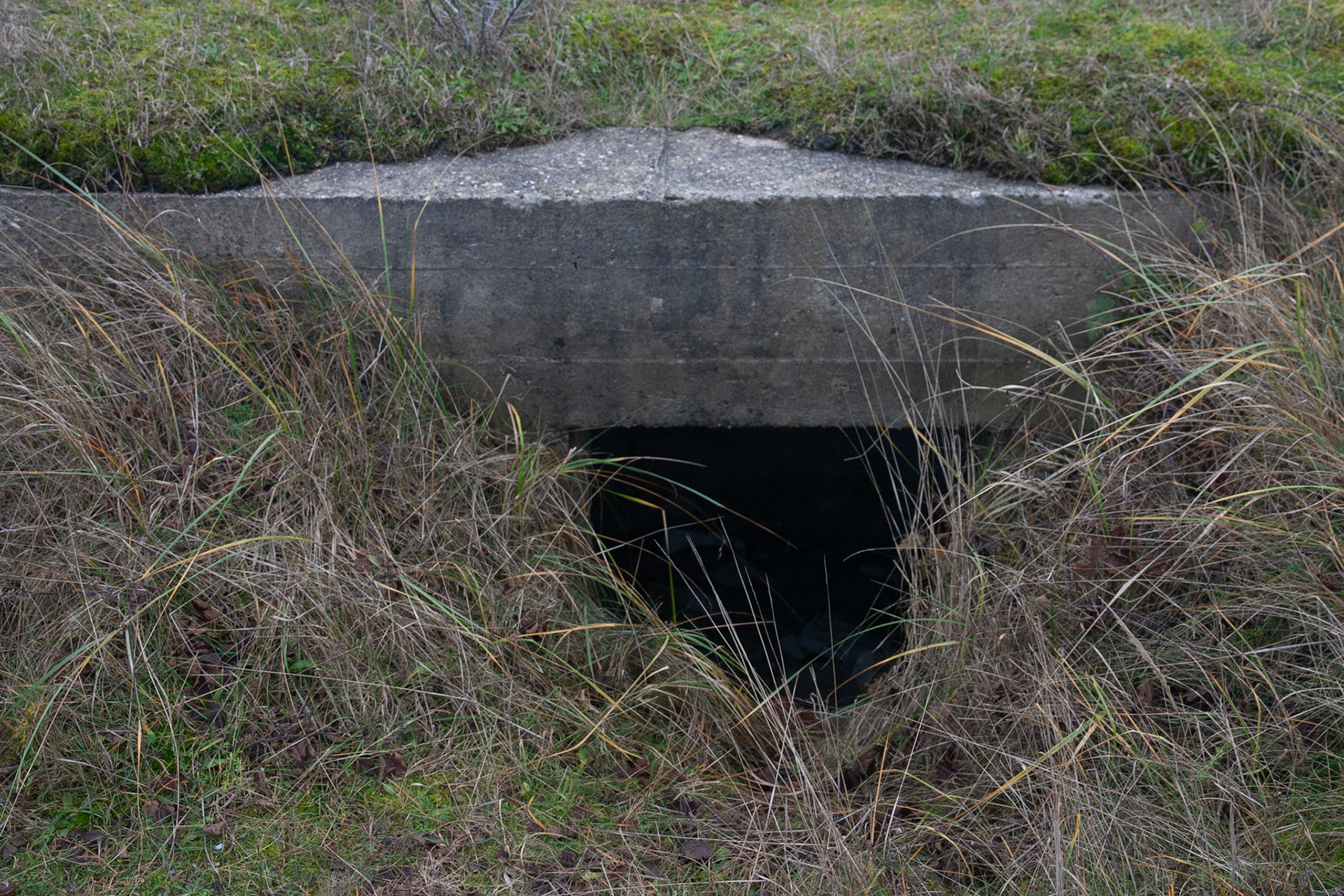 #2018 #schiermonnikoog