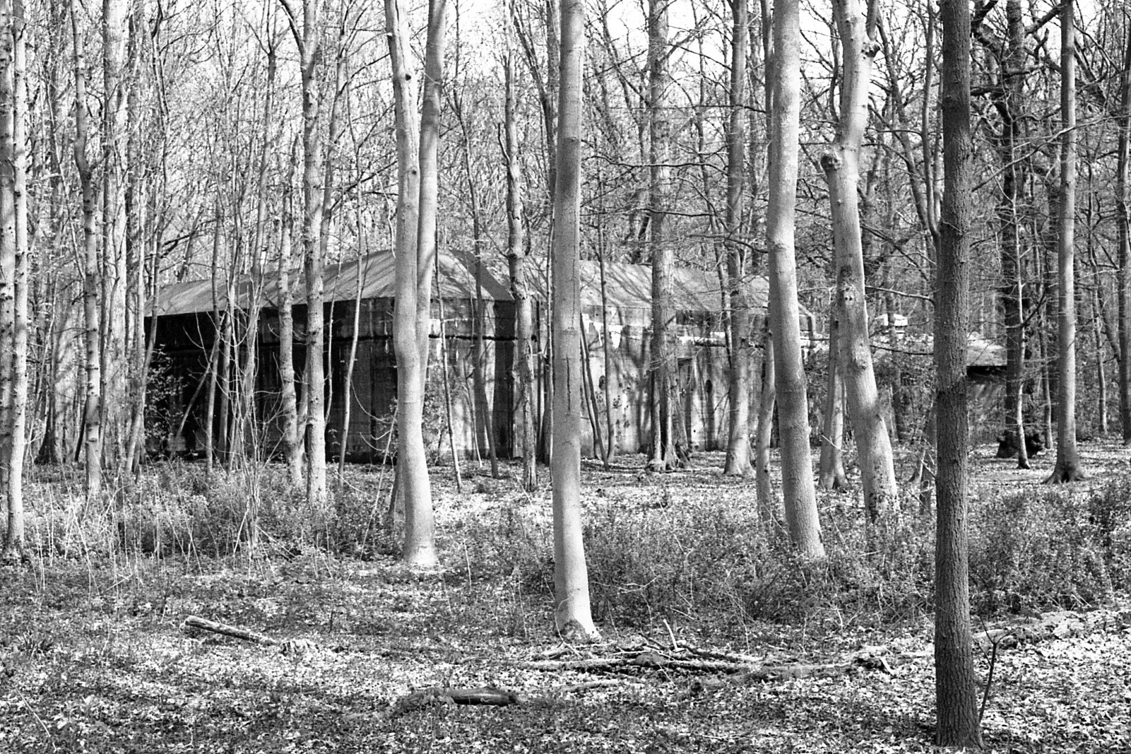 #2000 #staelduinse bos