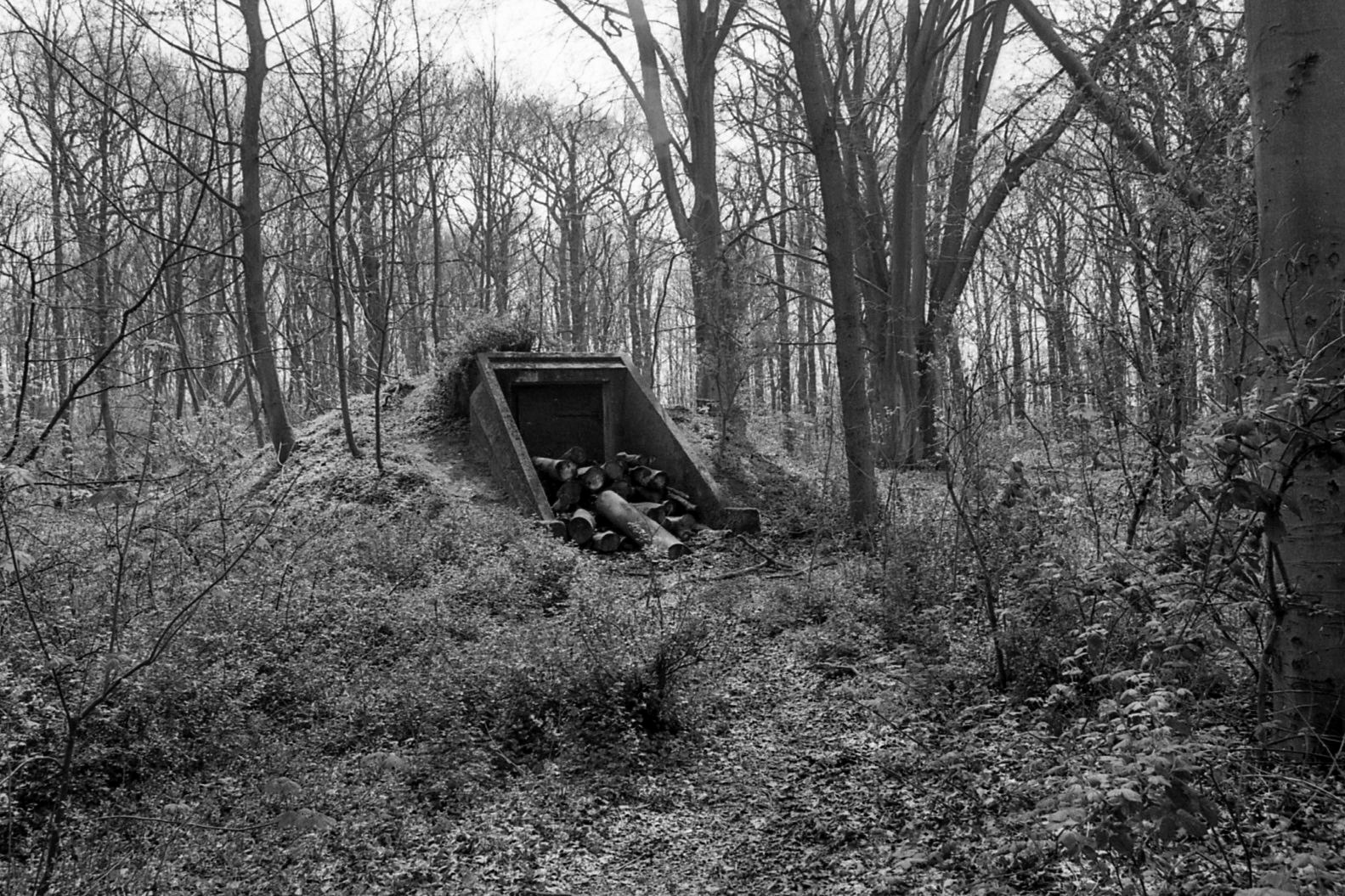 #2000 #staelduinse bos