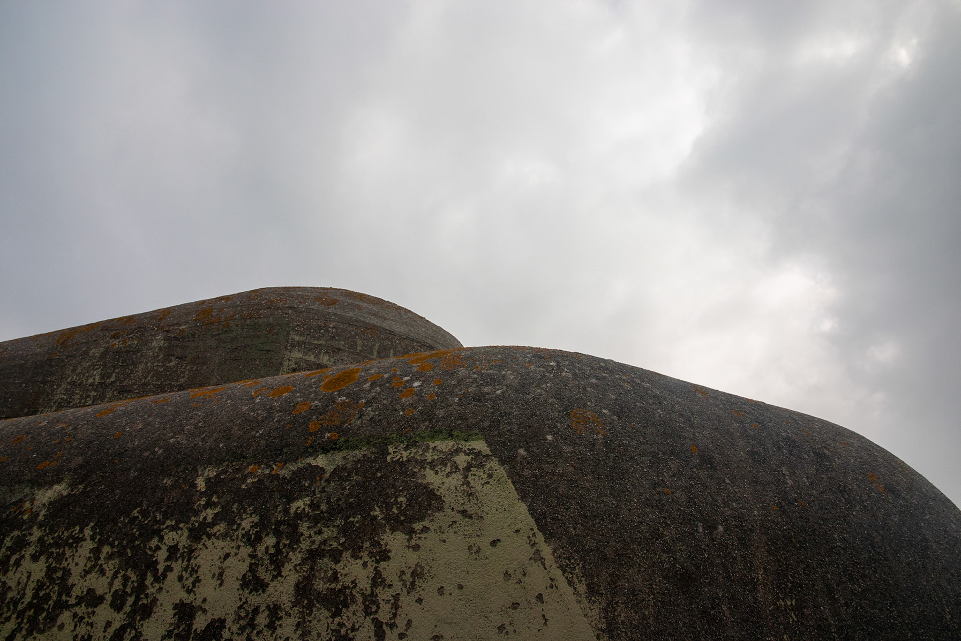 #2019 #kornwerderzand