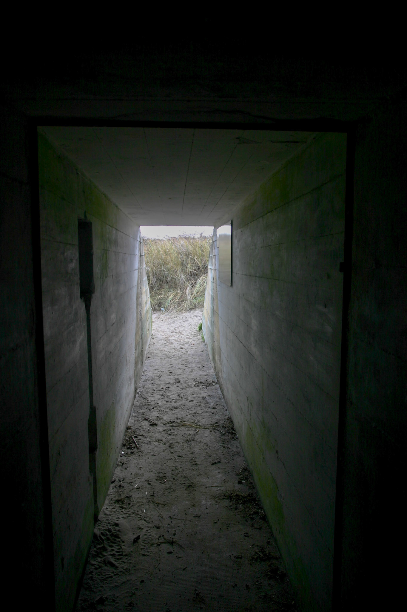 #2018 #schiermonnikoog