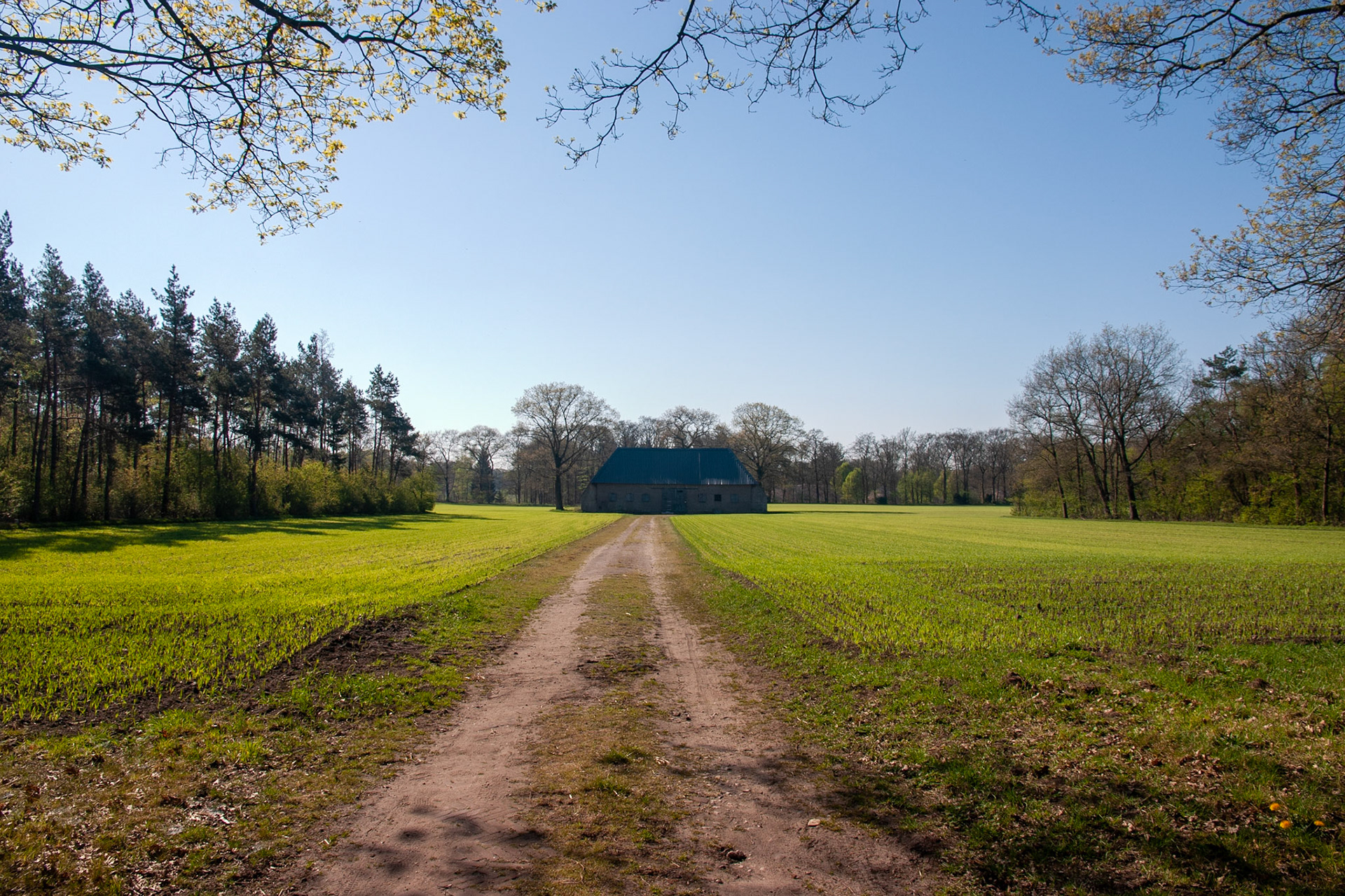 #2019 #schaarsbergen