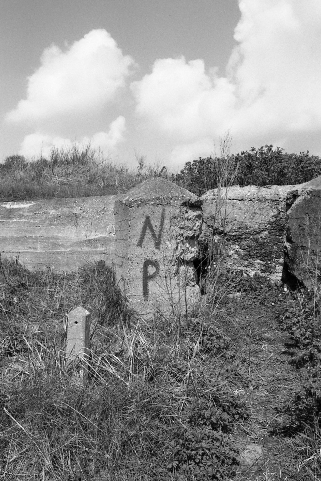 #2000 #hoek van holland