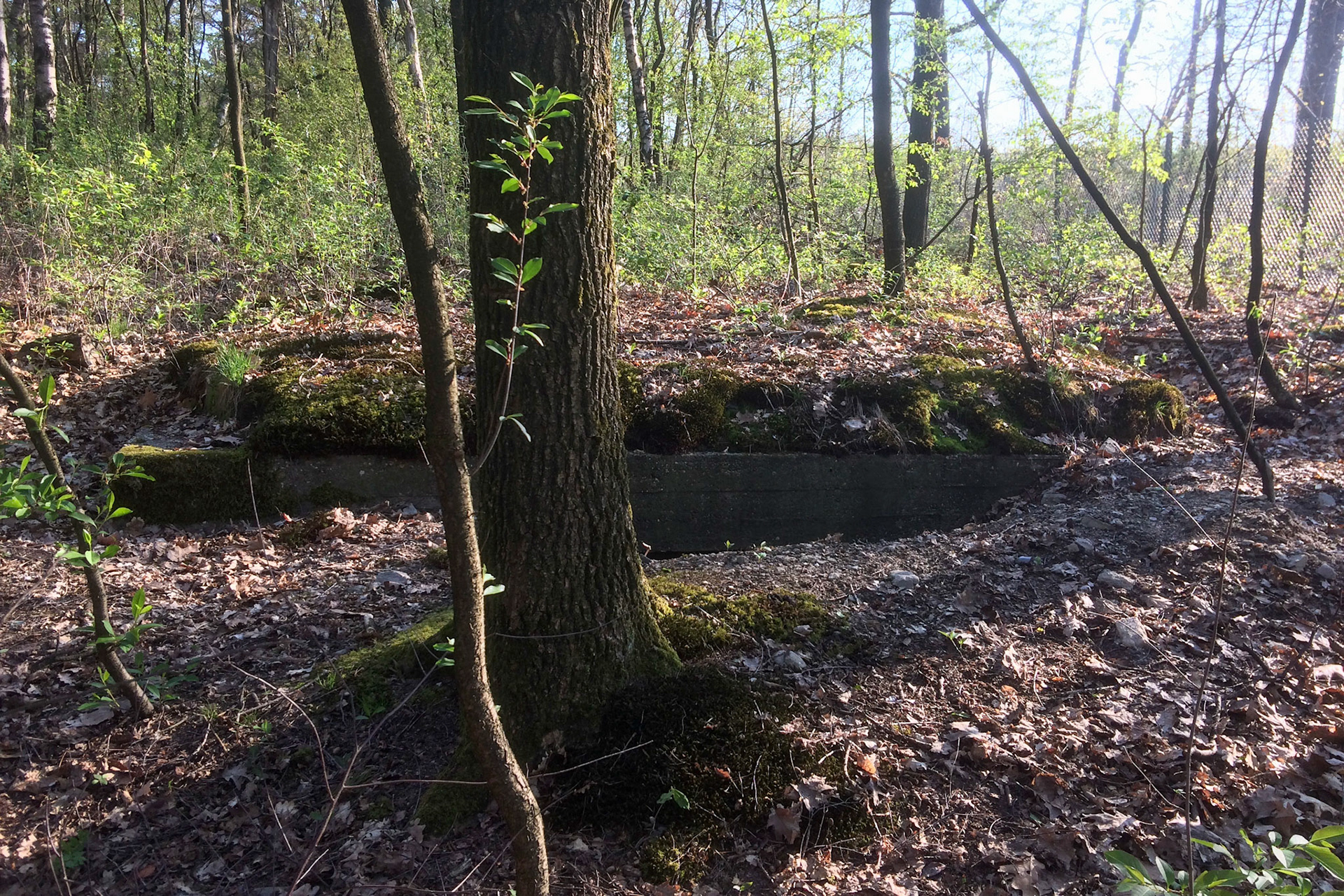 #2019 #schaarsbergen