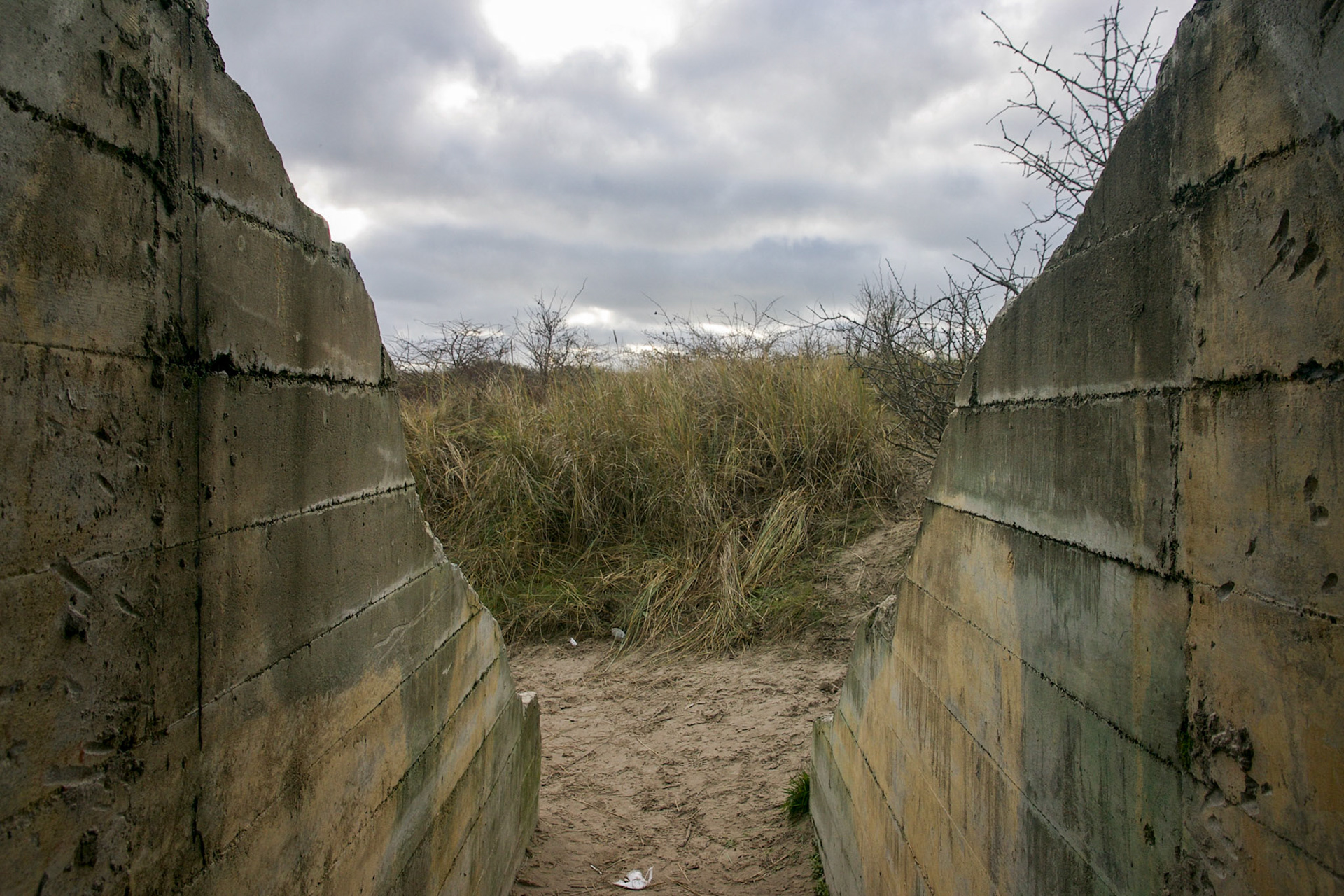 #2018 #schiermonnikoog