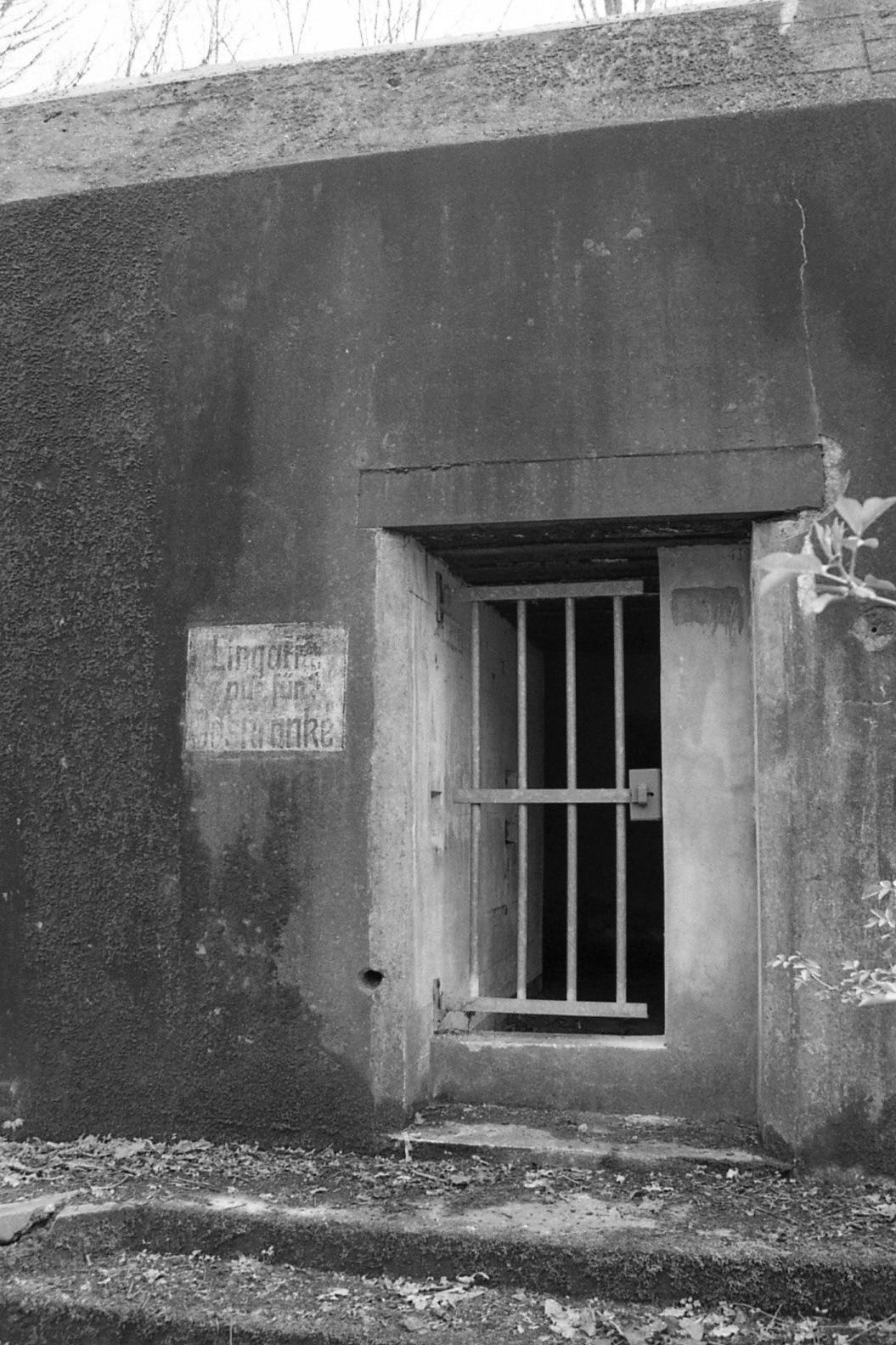 #2000 #staelduinse bos