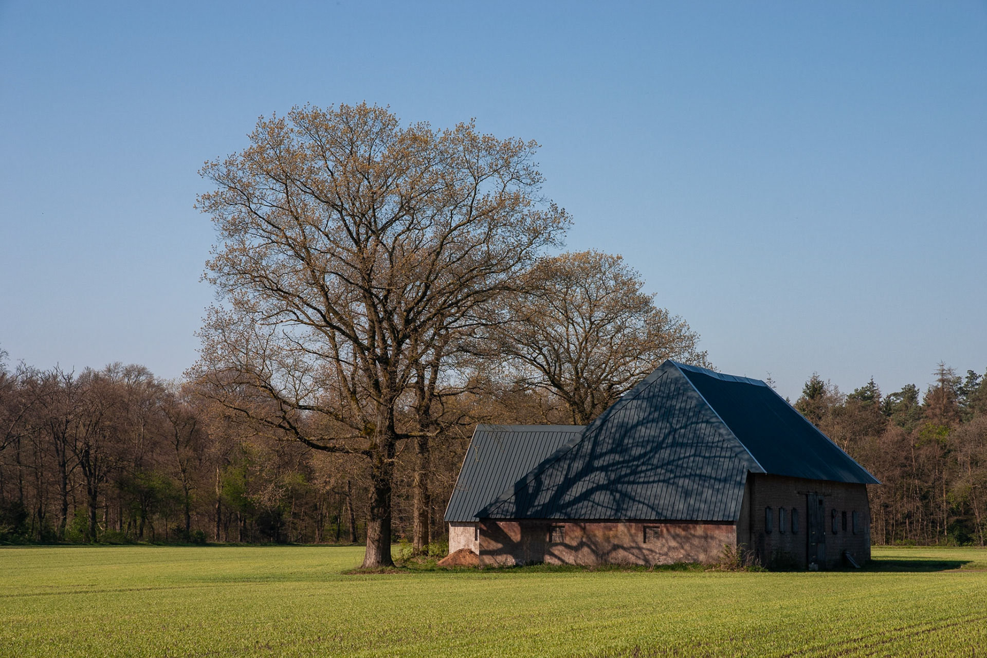 #2019 #schaarsbergen
