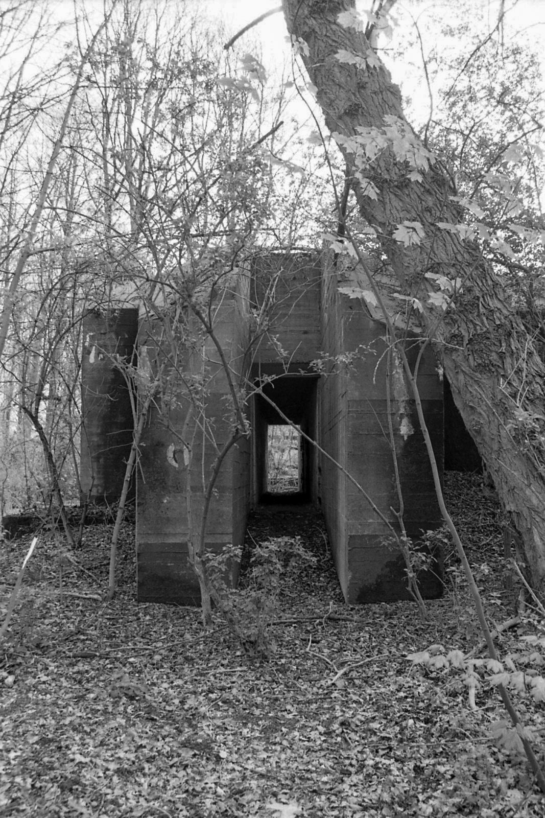 #2000 #staelduinse bos