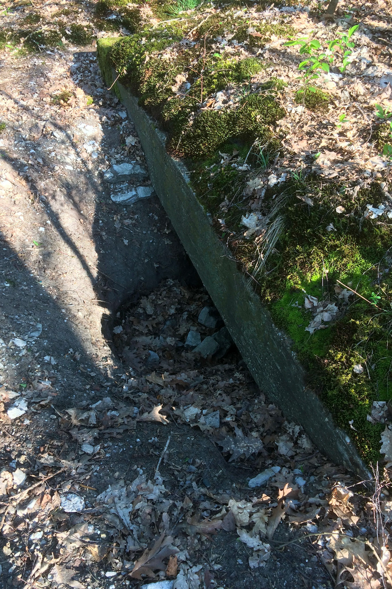 #2019 #schaarsbergen